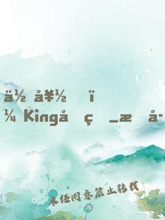 你好，King先生